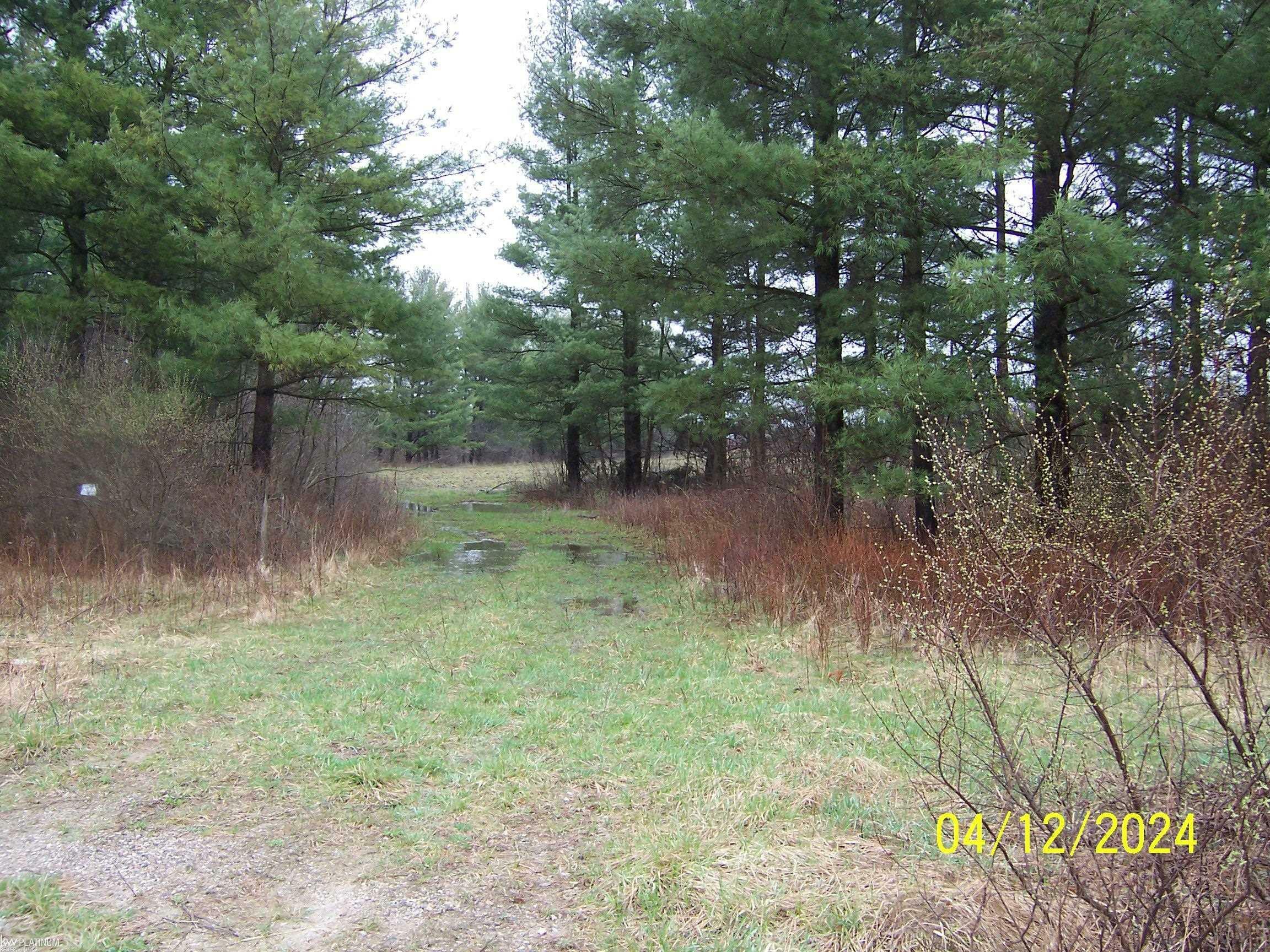 Vacant Brown  Greenwood MI 48006 photo