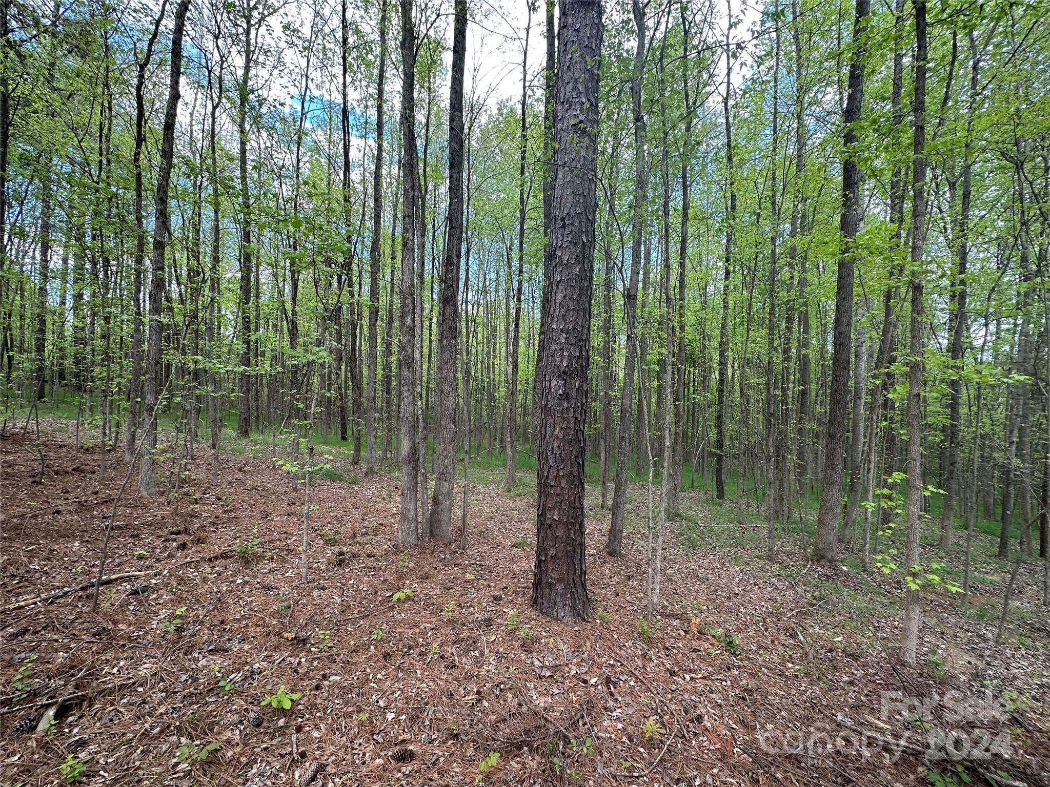 Property Photo:  Vac Courtland Drive  NC 28001 