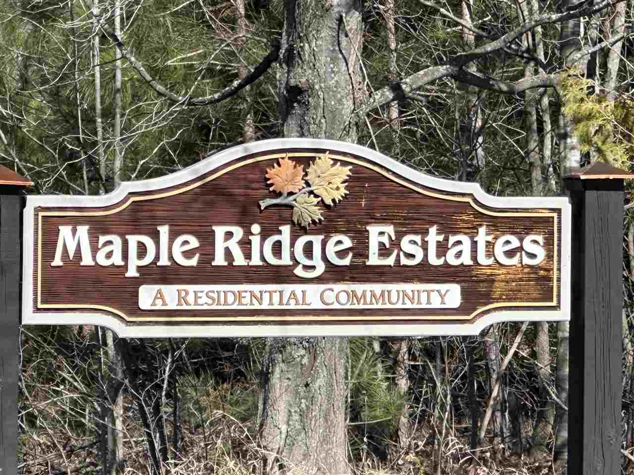 Property Photo: Tbd Sugar Ridge MI 49718