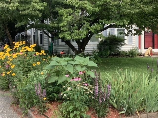 Property Photo: 55 Belknap Street NH 03820