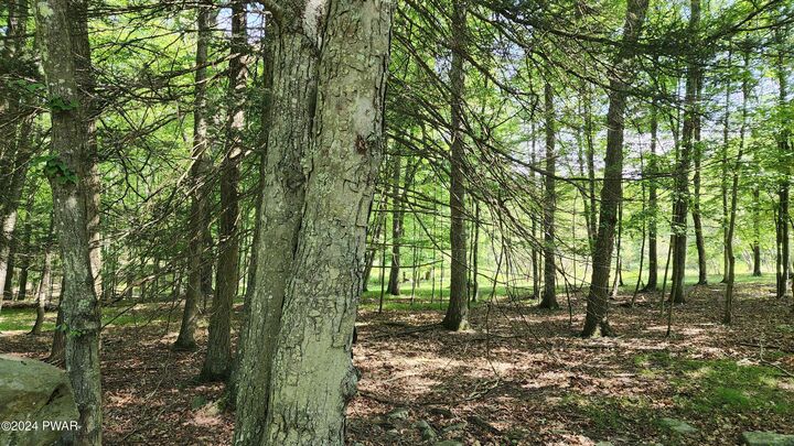 Property Photo: Lot 91 Pocono Mountain Lake Drive PA 18324