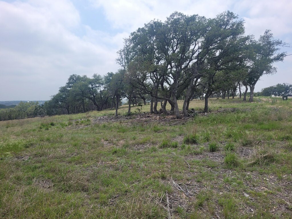 Property Photo:  00017 Pitre Springs Rd  TX 78028 