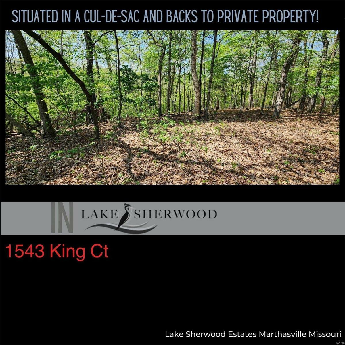 Property Photo: 1543 King Ct MO 63357