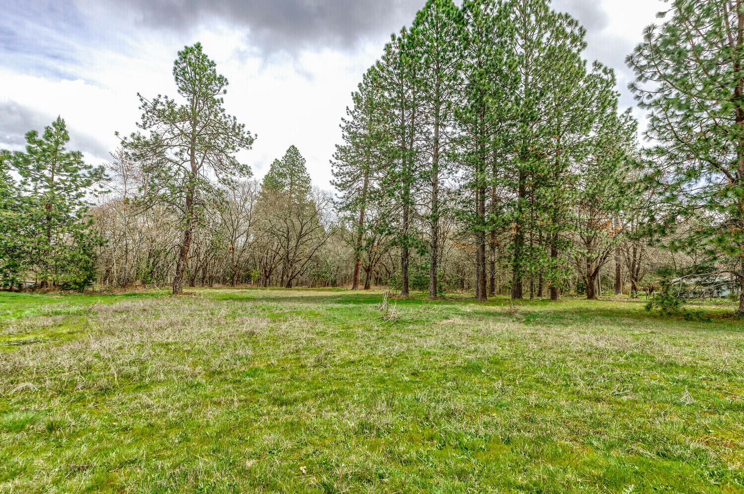 Property Photo:  2925 Jerome Prairie Road  OR 97527 