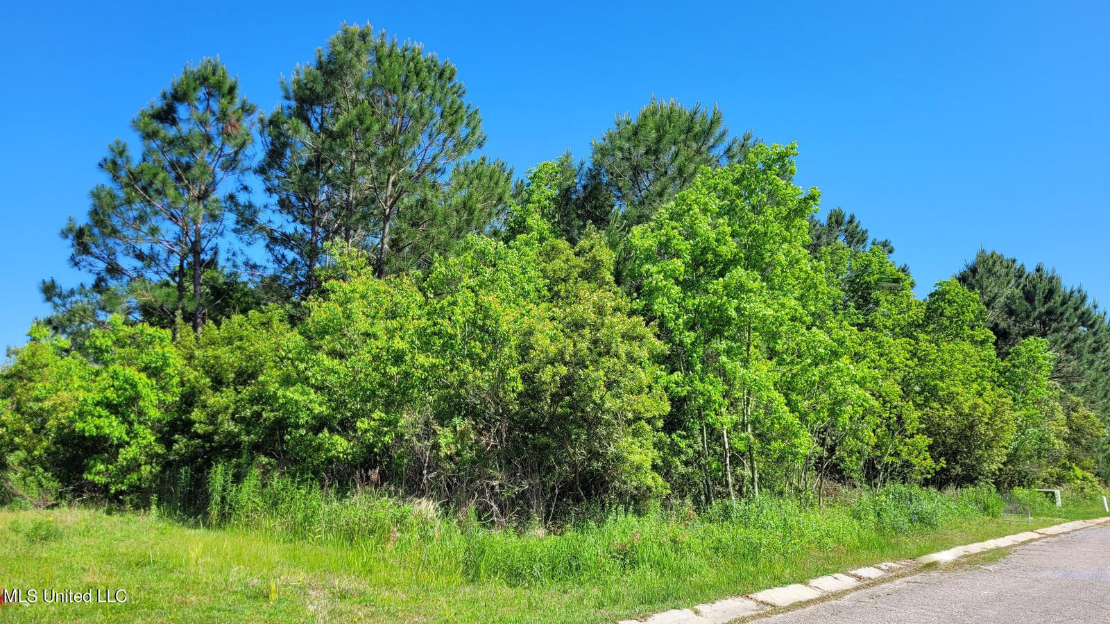 Property Photo:  Pelican Cove Lane  MS 39560