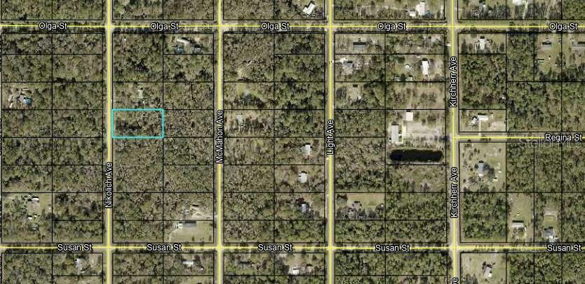 Property Photo:  10130 Nikolich Avenue  FL 32145 