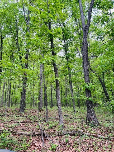 Property Photo:  Tract A Madison Cr 5450  AR 72727 