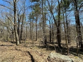 Property Photo:  Lot 1 North Brookfield Rd  MA 01531 