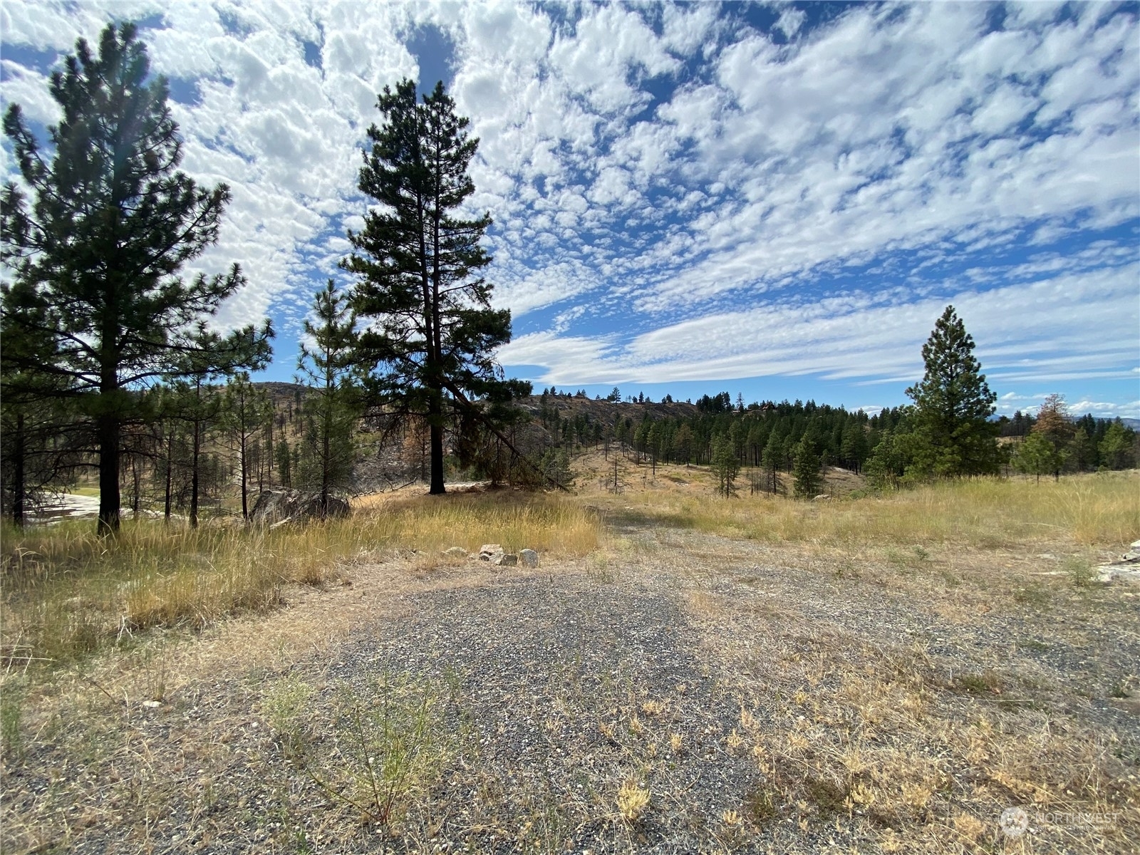 Property Photo:  6 Madd Mountain Road  WA 98840 