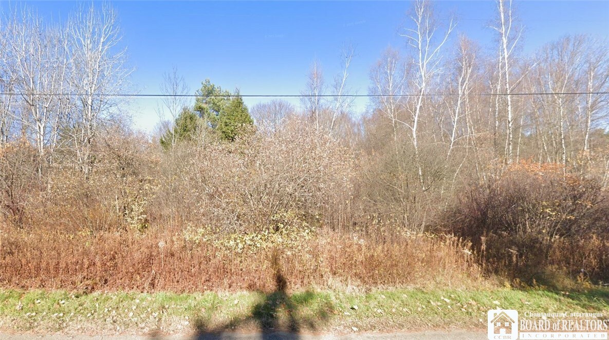 Property Photo: 0 Cowing Road NY 14750