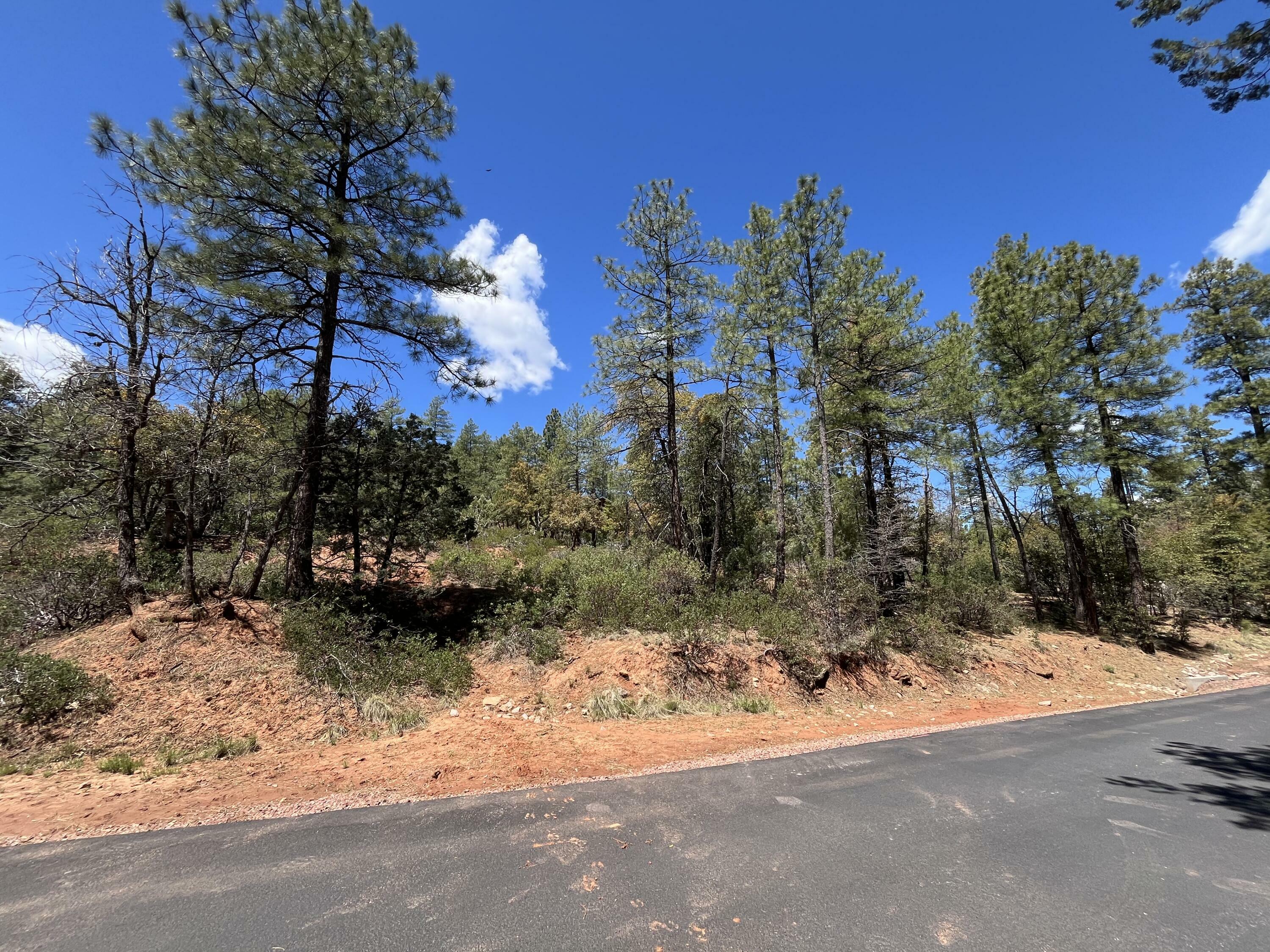 Property Photo:  Lot 19 Strawberry Hollow  AZ 85544 