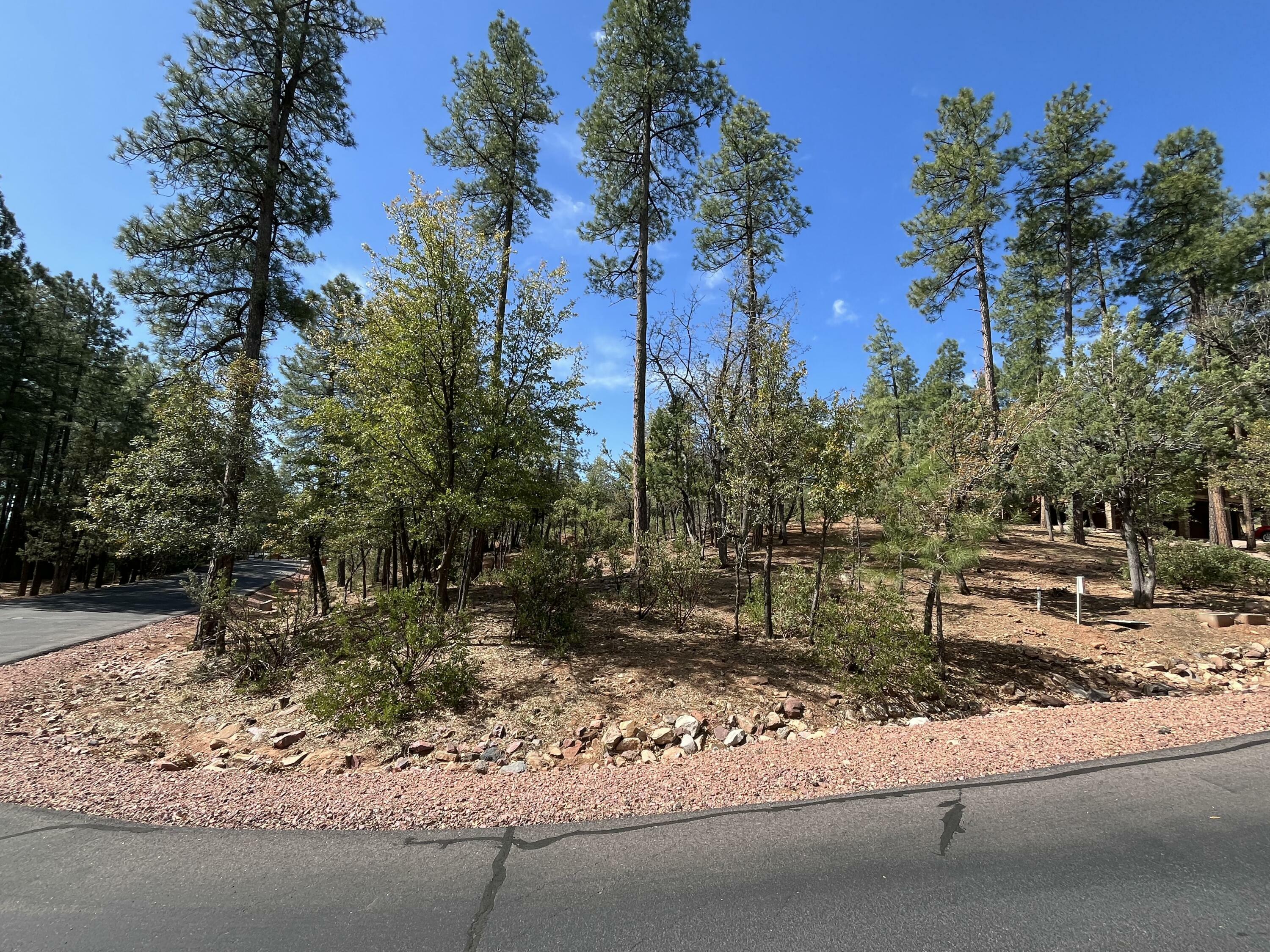 Property Photo: Lot 19 Strawberry Hollow AZ 85544