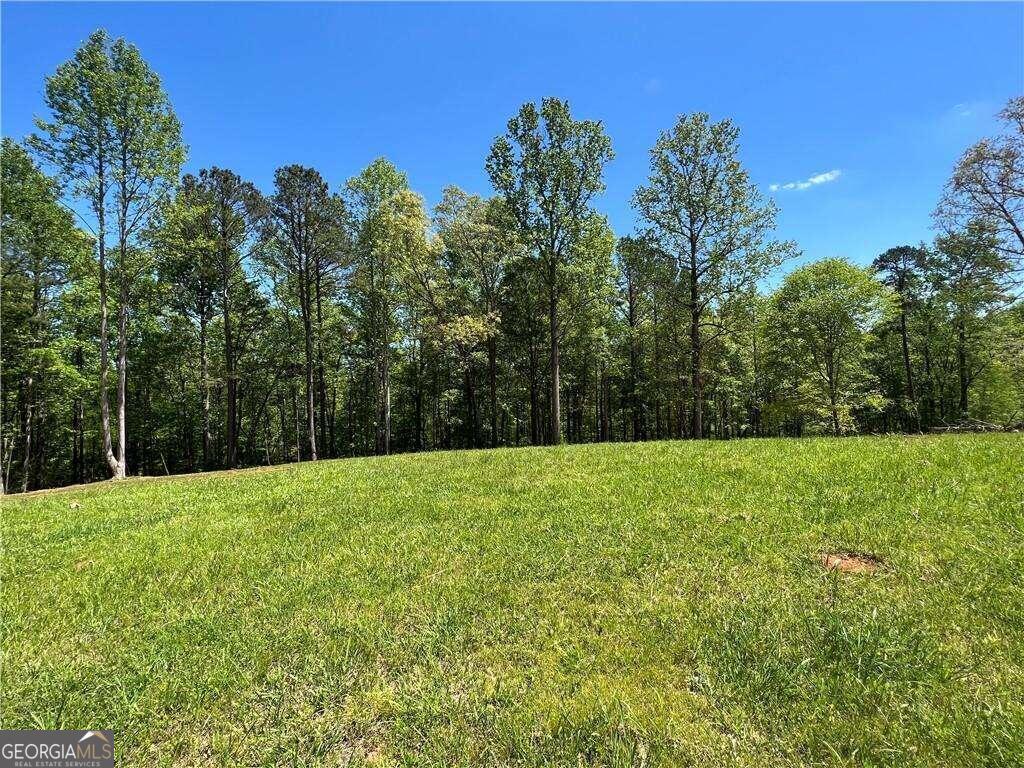 Property Photo: 1015 Bartow Street GA 30183