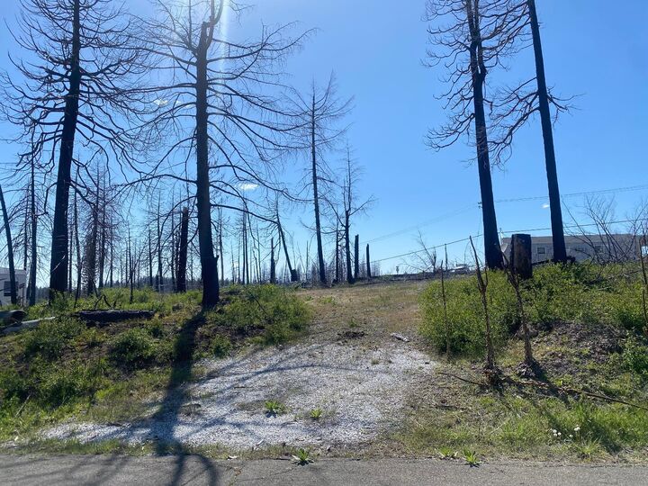 6723 Tyler Drive  Grizzly Flats CA 95636 photo