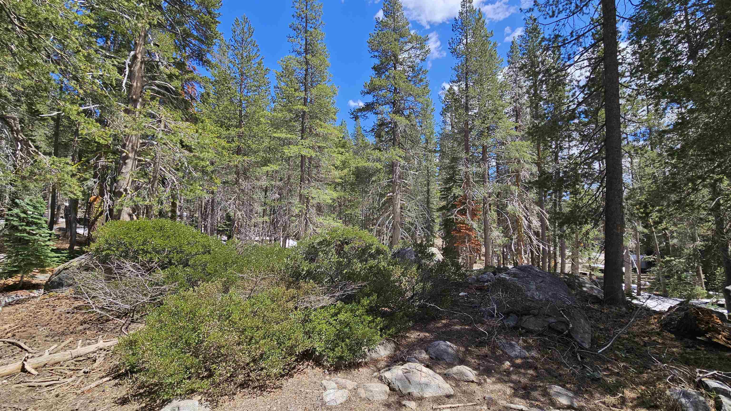 Property Photo:  10060 Bunny Hill Road  CA 95728 