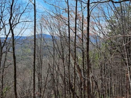 Property Photo:  0 Upper Salem Church Road  GA 30143 