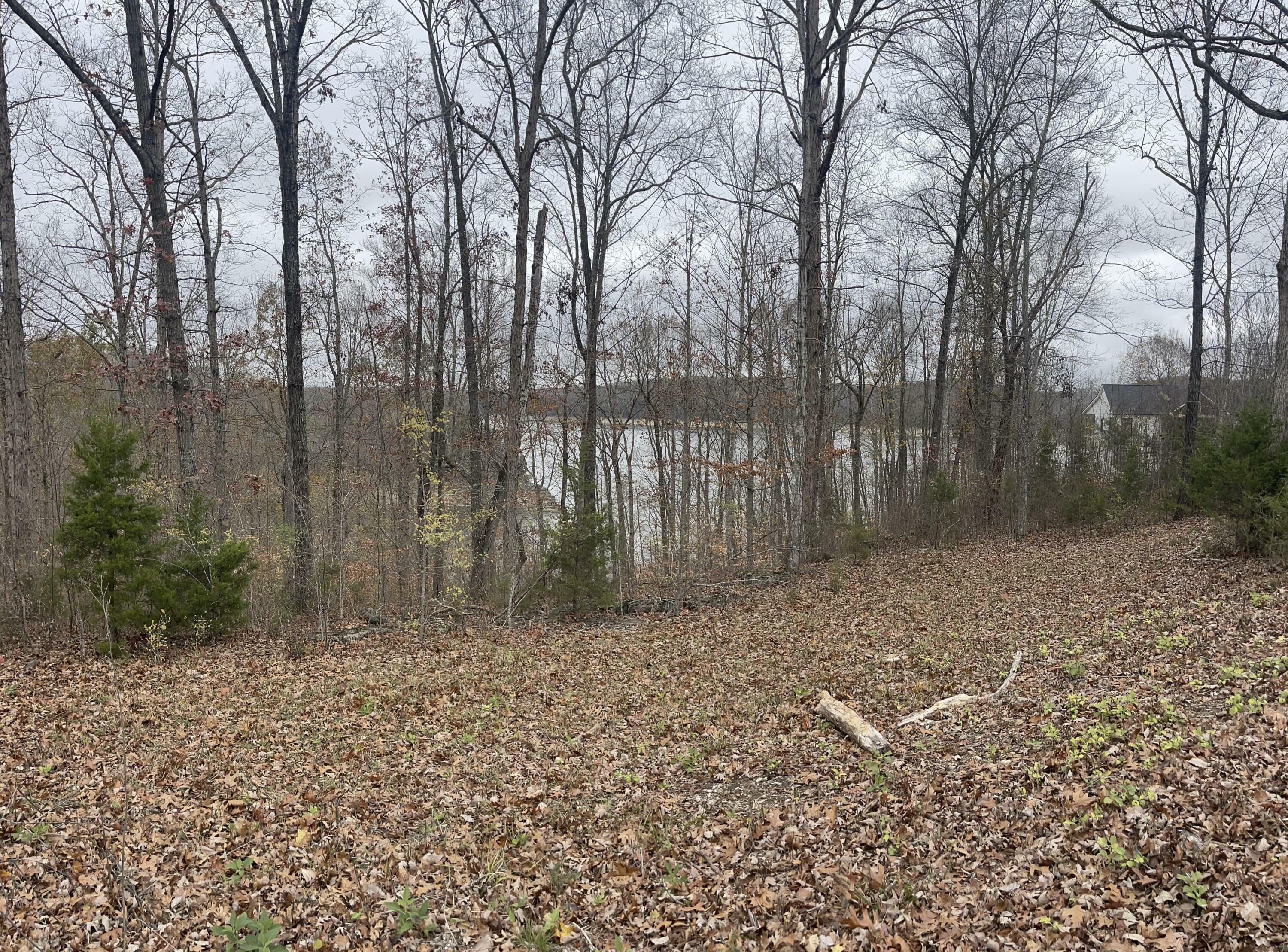 Property Photo:  Lot 37 Cumberland Shores  KY 42633 