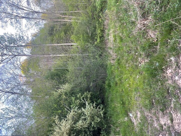 Property Photo:  00 Bob Byrd Rd  WV 25922 