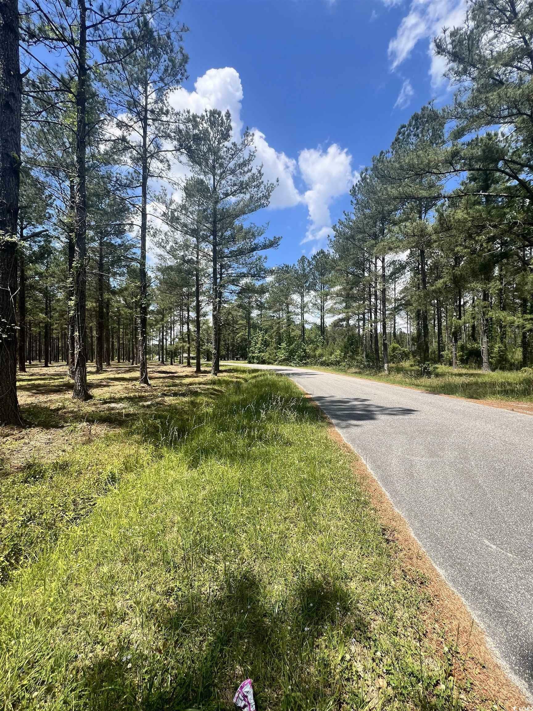 Property Photo:  Lot 4 Ashley Circle  SC 29526 