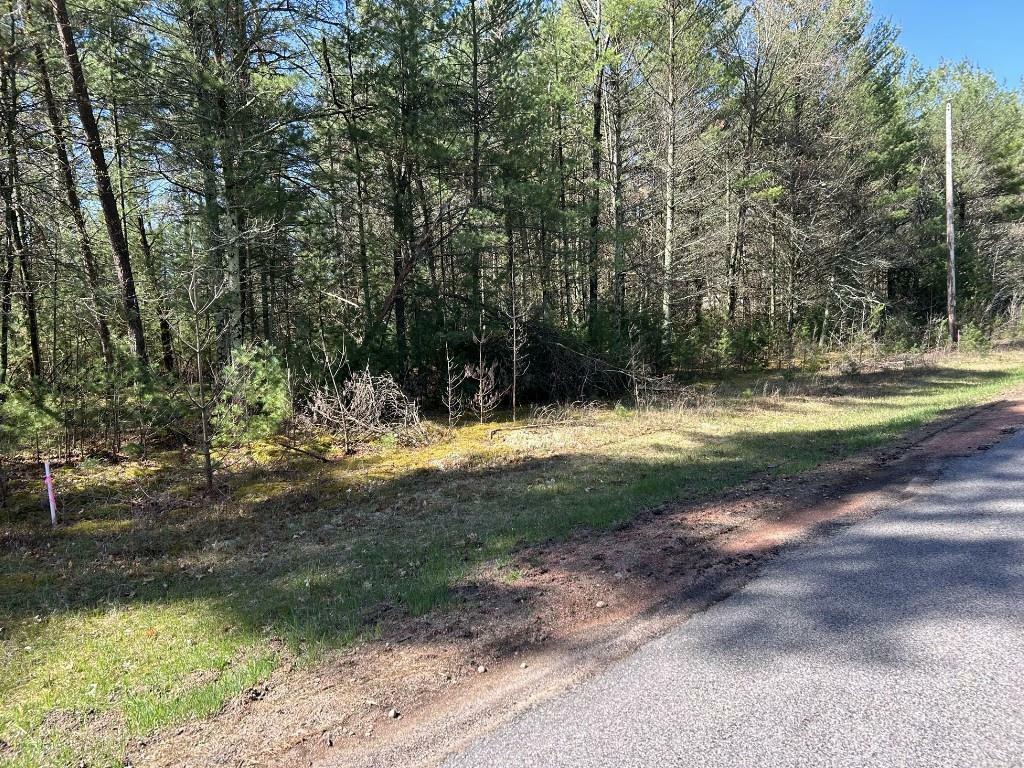 Lot 23 Dubay Pines Subdivision Altenburg Road  Junction City WI 54443 photo