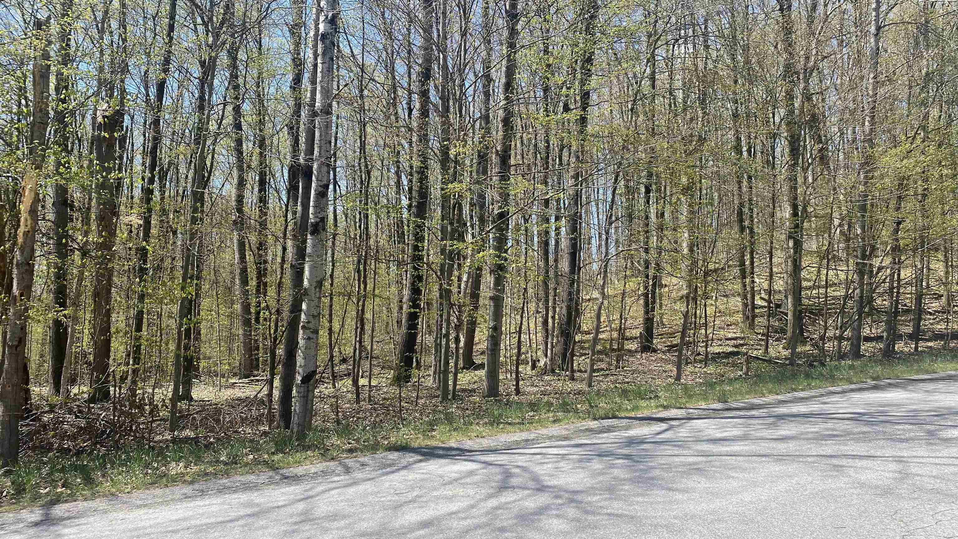 Property Photo:  Lot 105-106 East Village  MI 49615 