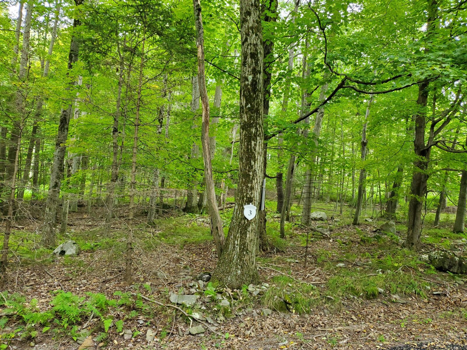 Property Photo: 3 Tall Oak Lane PA 18347