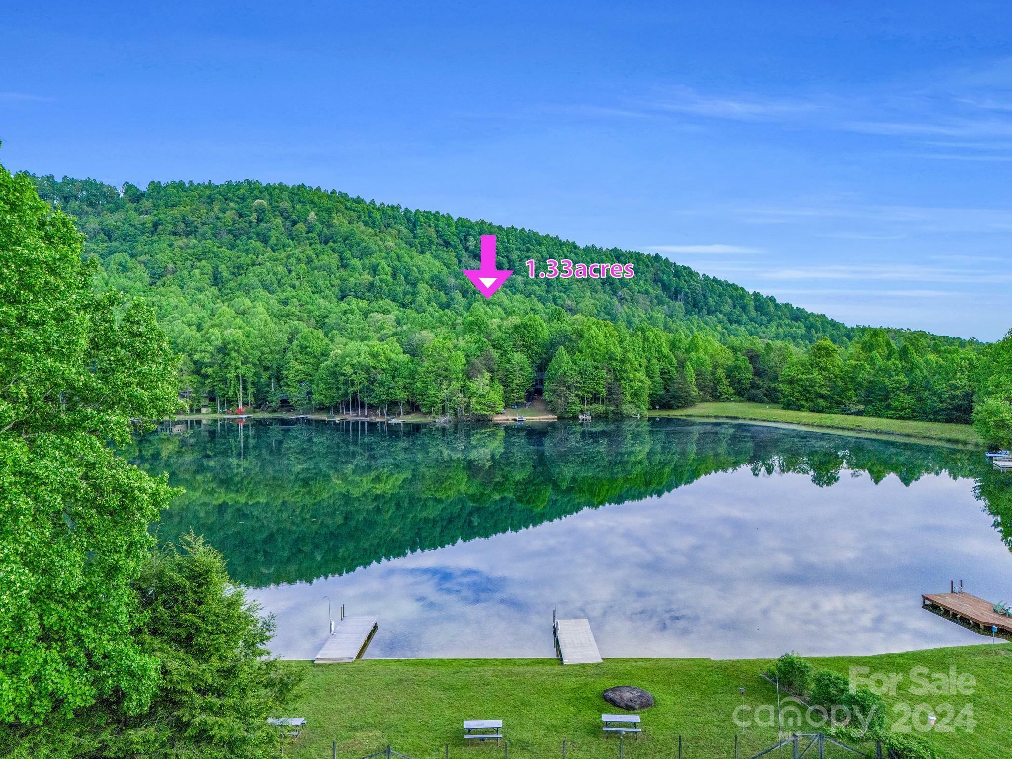 Property Photo:  000 Pole Cat Road 4A  NC 28773 