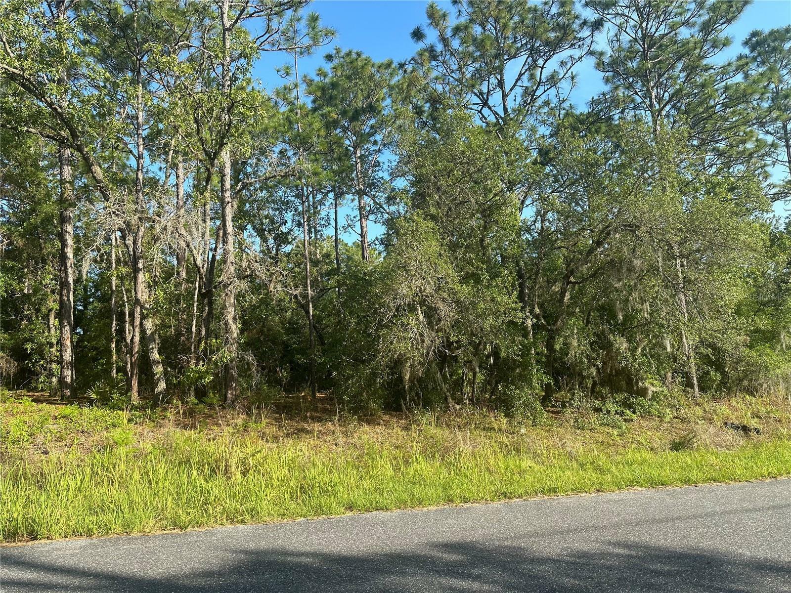 Property Photo:  8020 N Triana Drive  FL 34434 