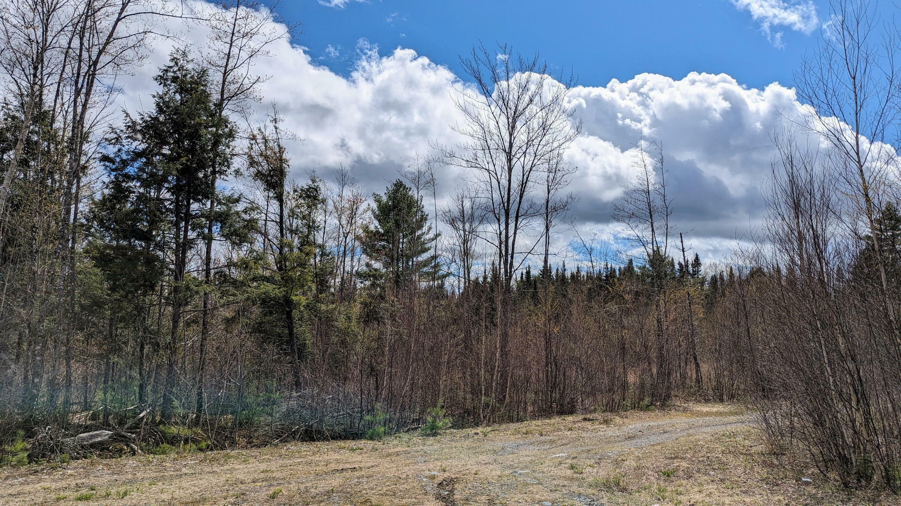 Property Photo:  M10l6 Off Of Old Brownville Sebec Road  ME 04463 