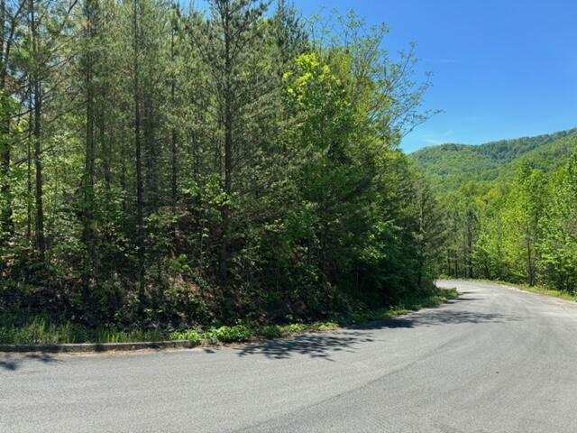 Property Photo: 2481 Happy Hollow Rd Road TN 37862