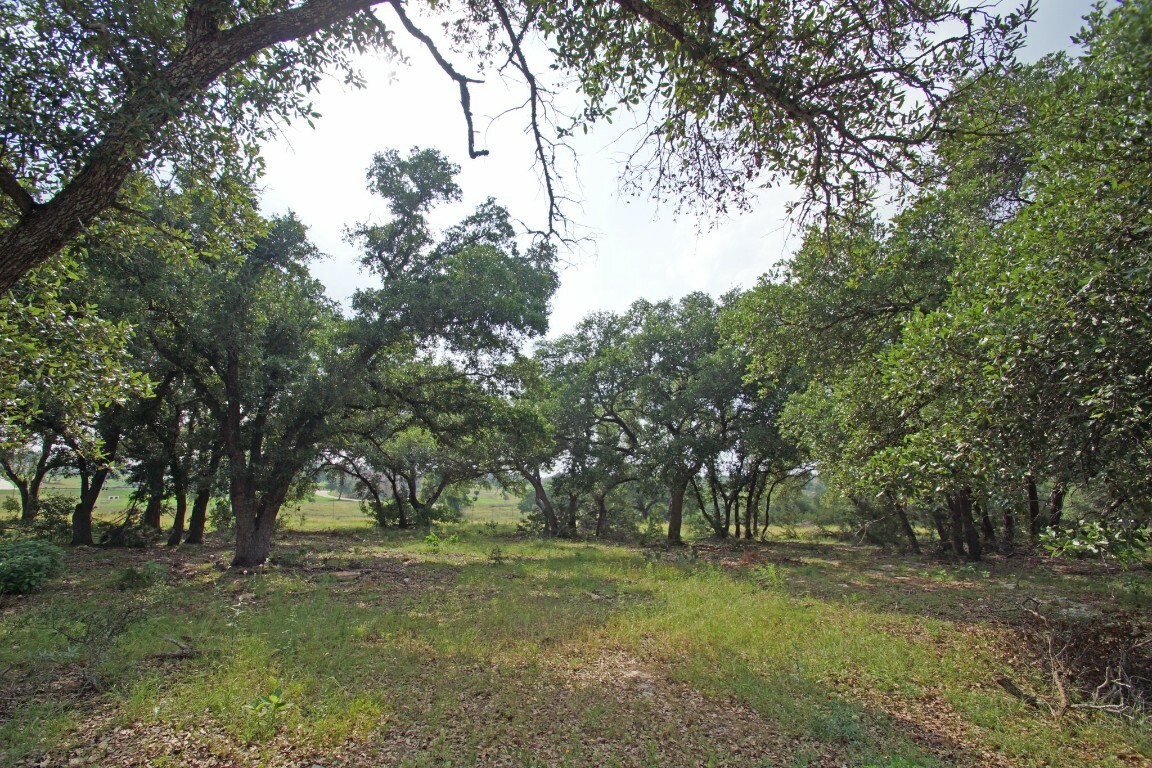 Property Photo:  1068 Eagle Point Drive  TX 78628 