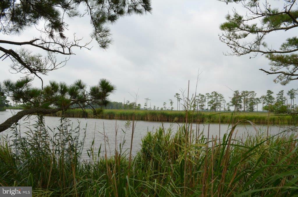 Property Photo: Decoursey Bidge Road MD 21869