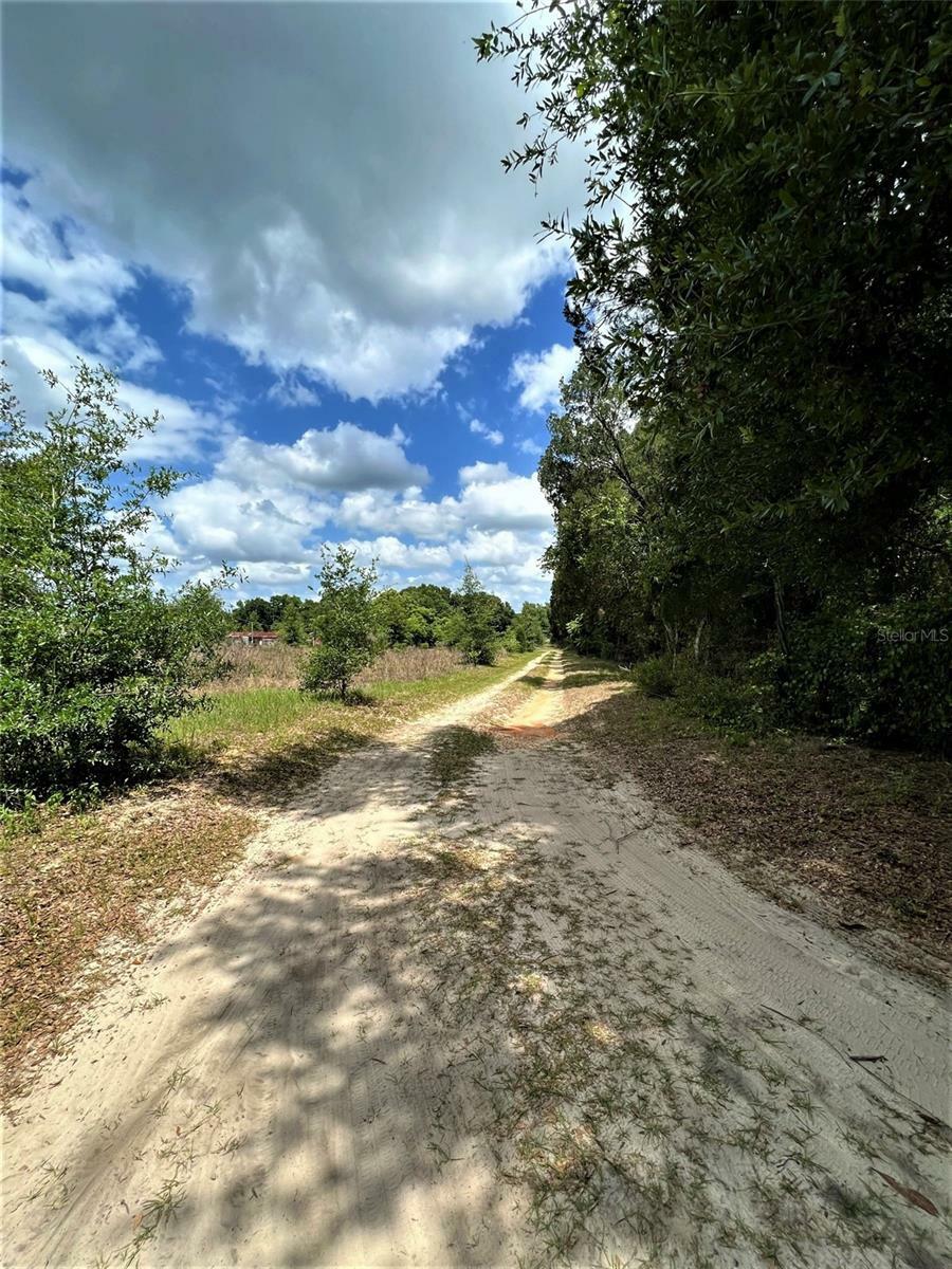 Property Photo:  11516 Knights Griffin Road  FL 33592 