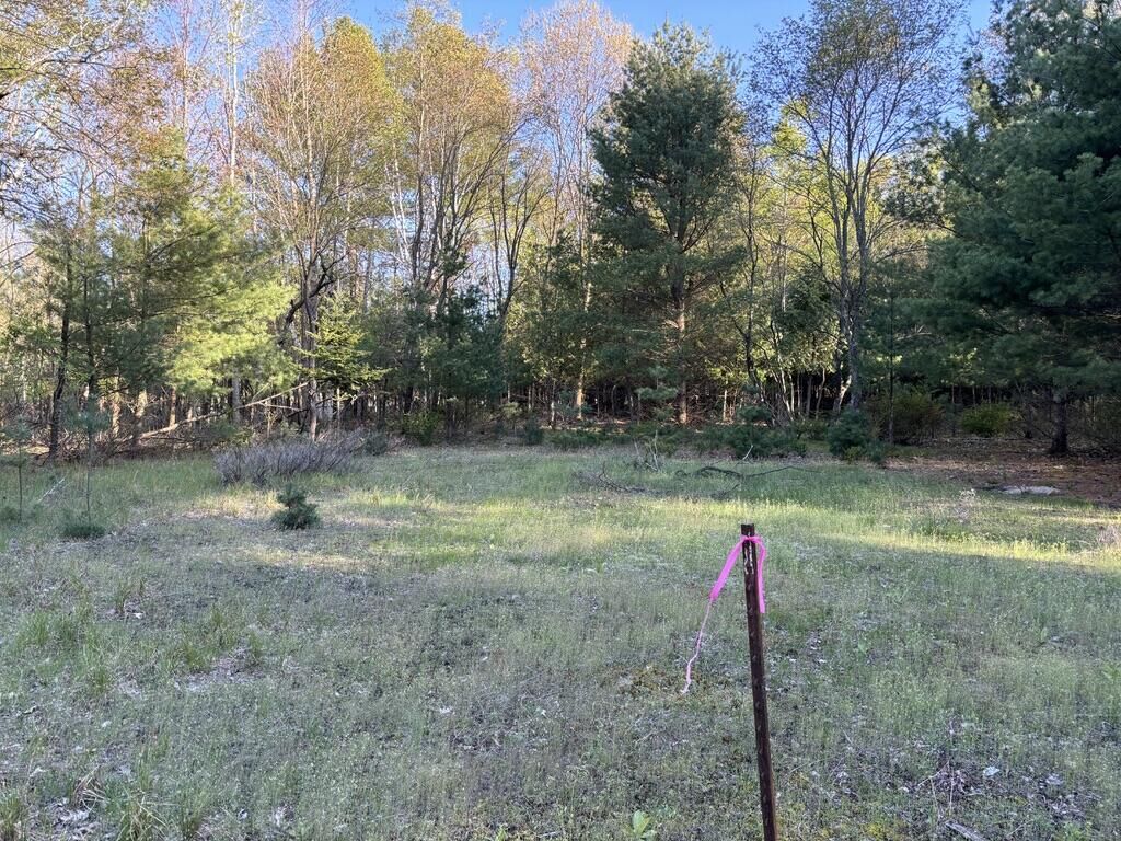 Property Photo:  0003 Bonita Way  MI 49675 