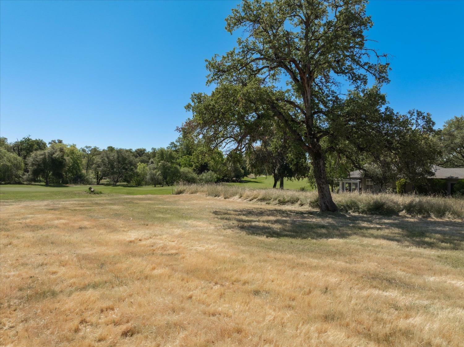 Property Photo:  719 Selkirk Ranch Road  CA 95222 