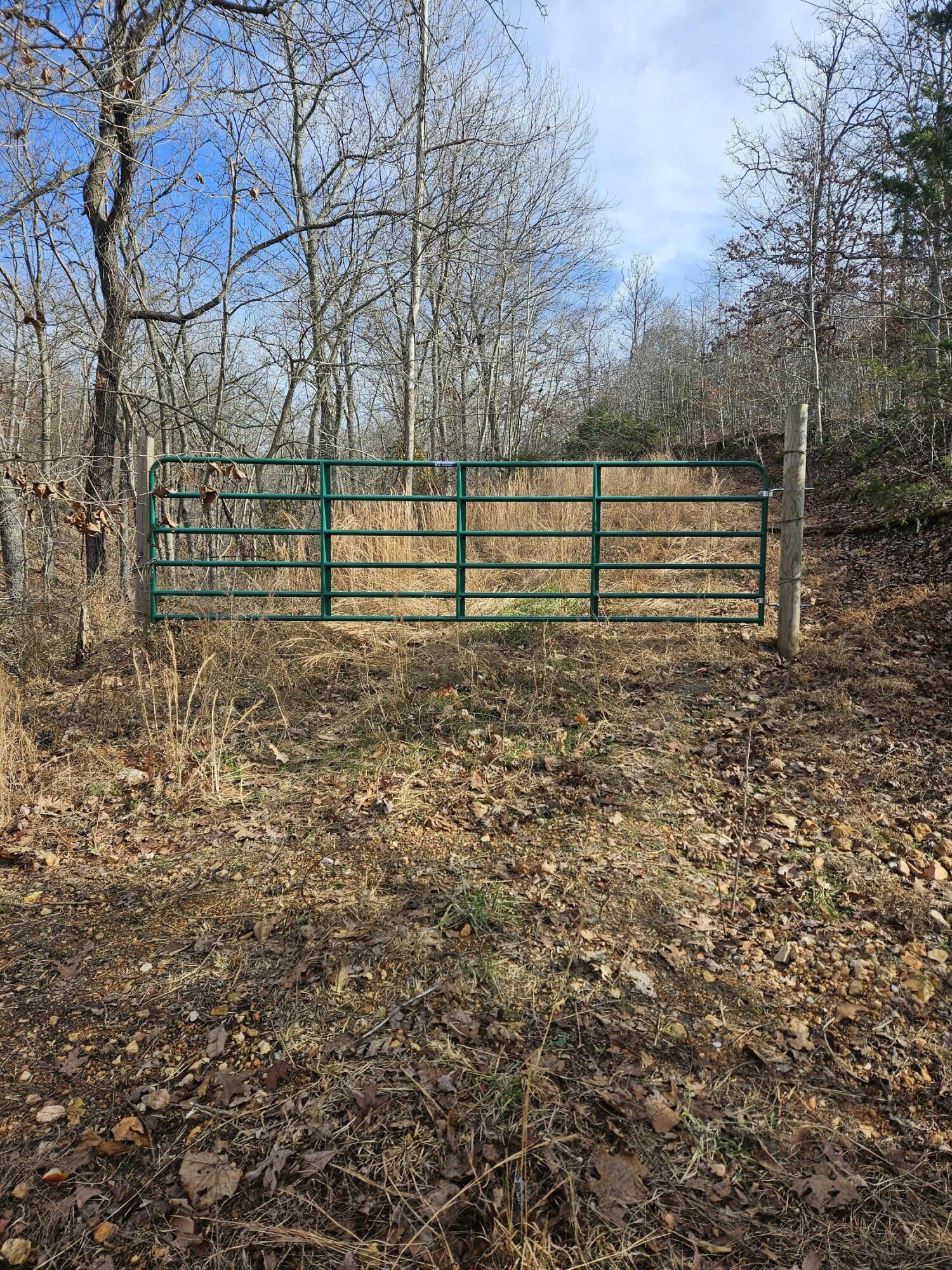 Property Photo:  26.24 Acre Styles Road  MO 64854 
