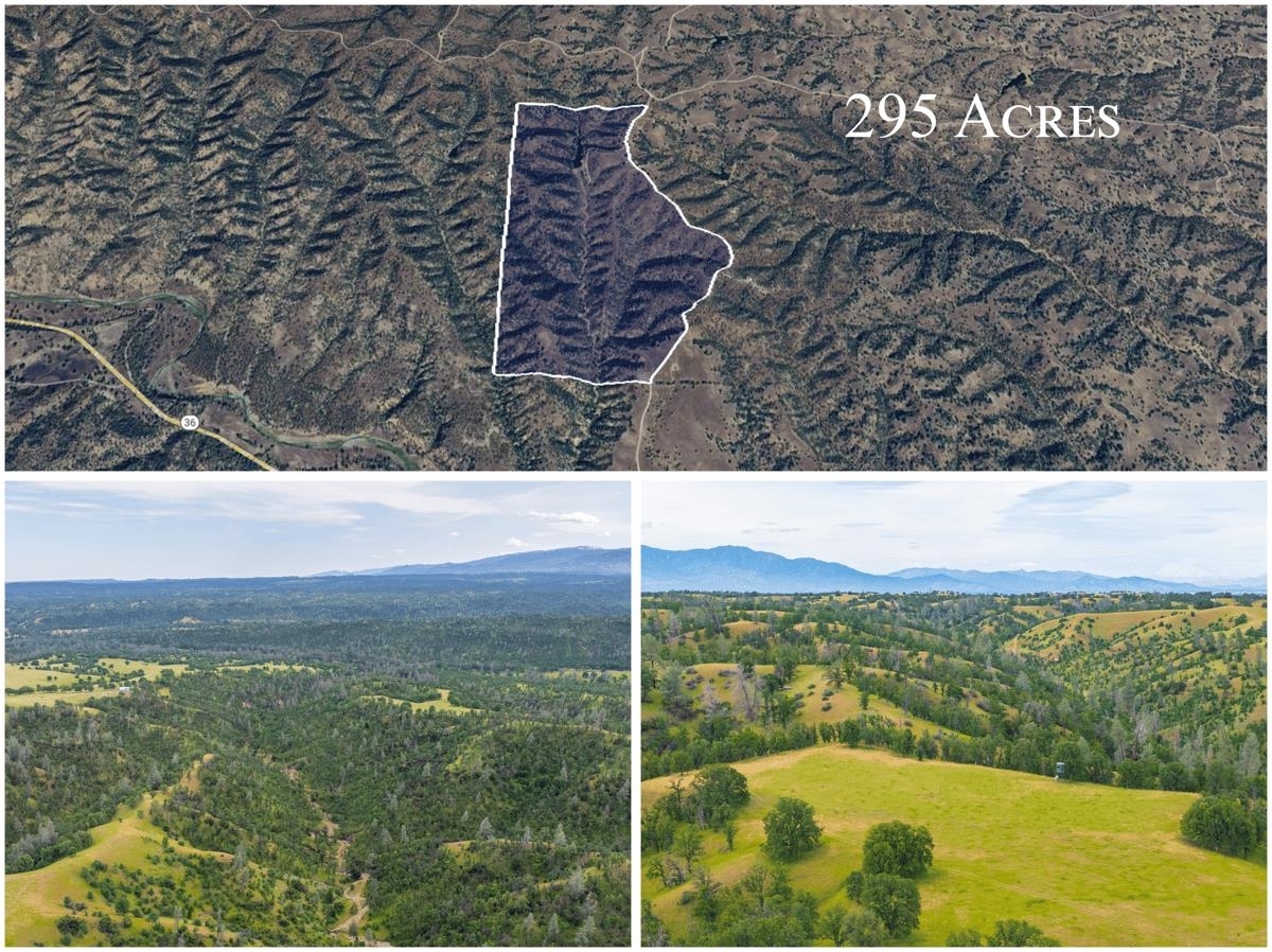 Property Photo:  295 Acres Hwy 36 W  CA 96022 