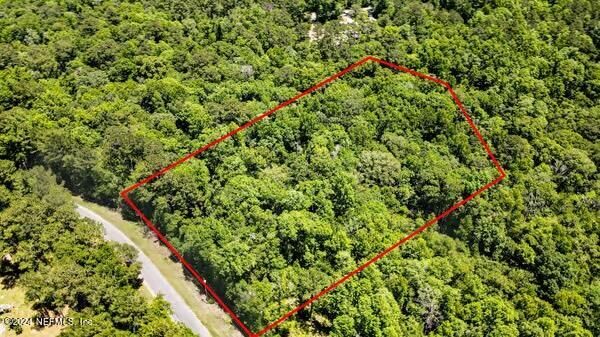 Property Photo:  5291 Chicory Circle  FL 32068 