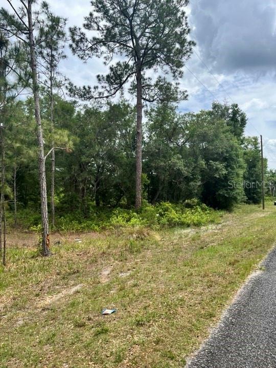 Property Photo:  Tbd 170th SE Avenue Road  FL 32179 