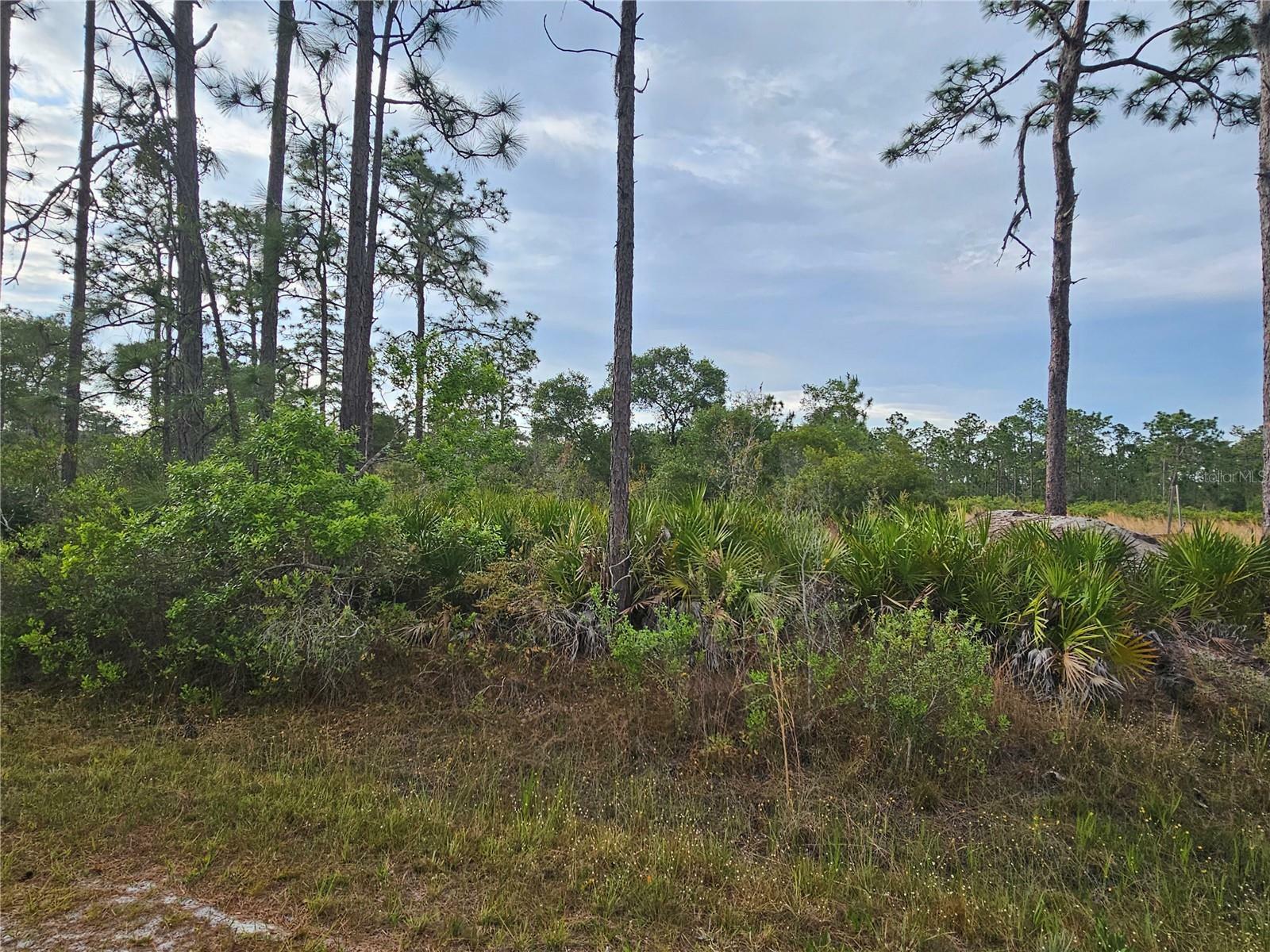 Property Photo:  108 El Dorado Drive  FL 33855 