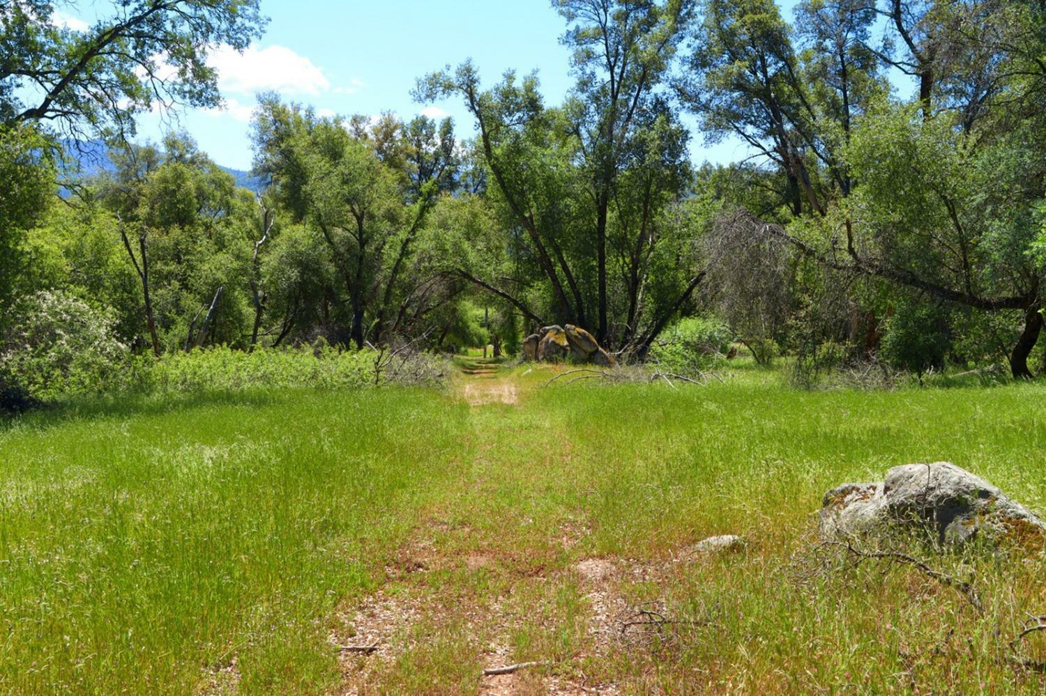 Property Photo:  0 19.6 Ac Road 425A  CA 93644 