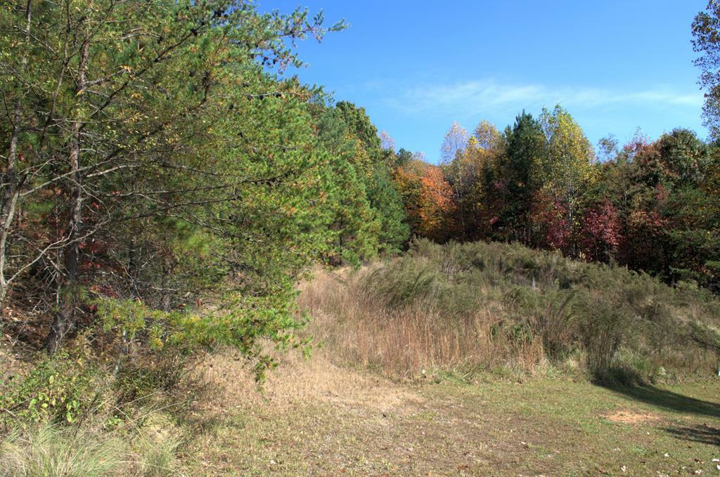 Property Photo:  Lot 16 Summit Trace  GA 30512 