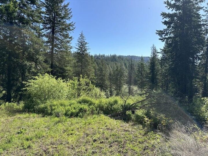 Xxx Gennett Rd  Springdale WA 99173 photo