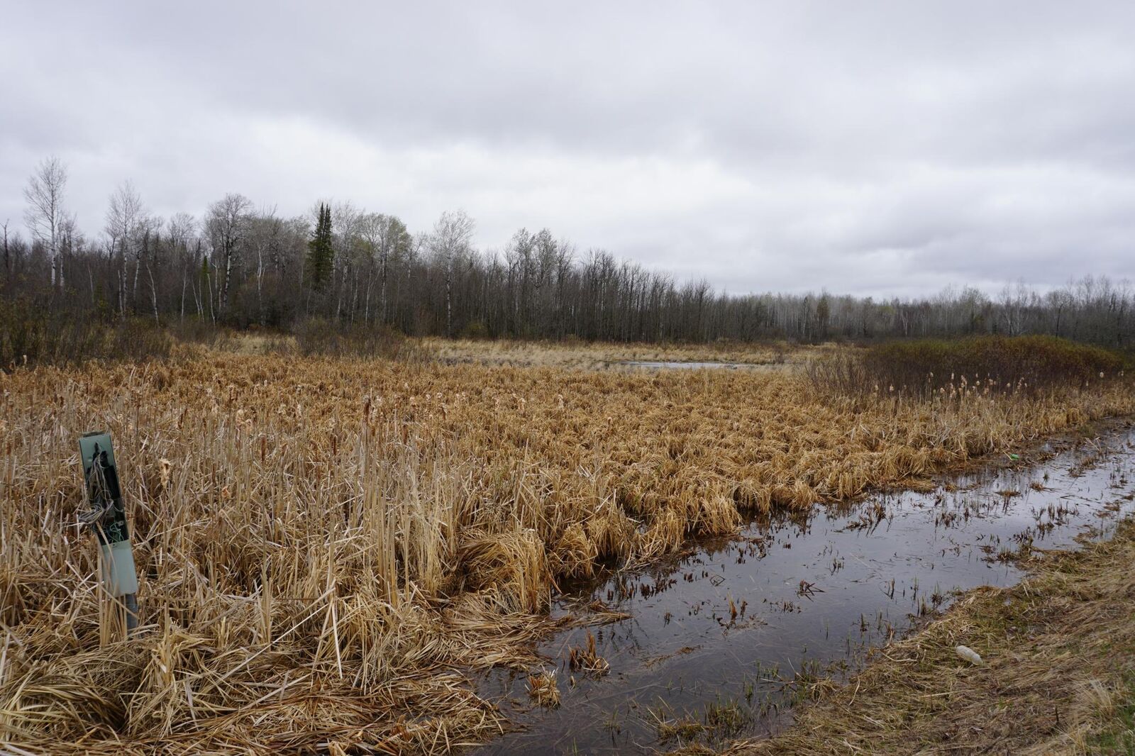 Property Photo: Tbd Floodwood Road MN 55736