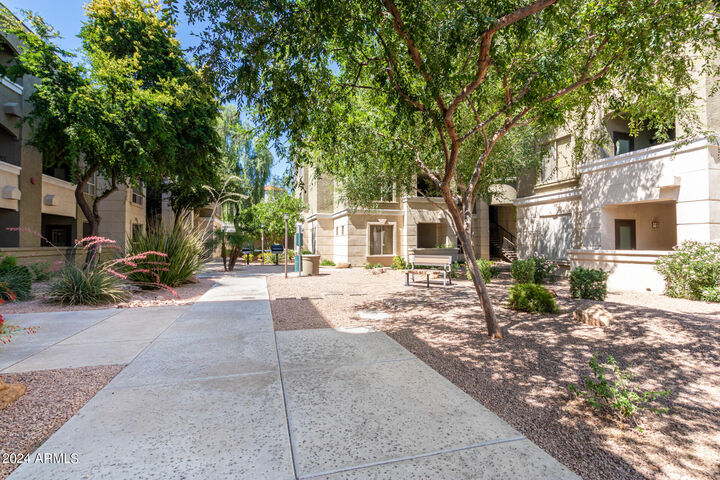 Property Photo:  5303 N 7th Street 321  AZ 85014 