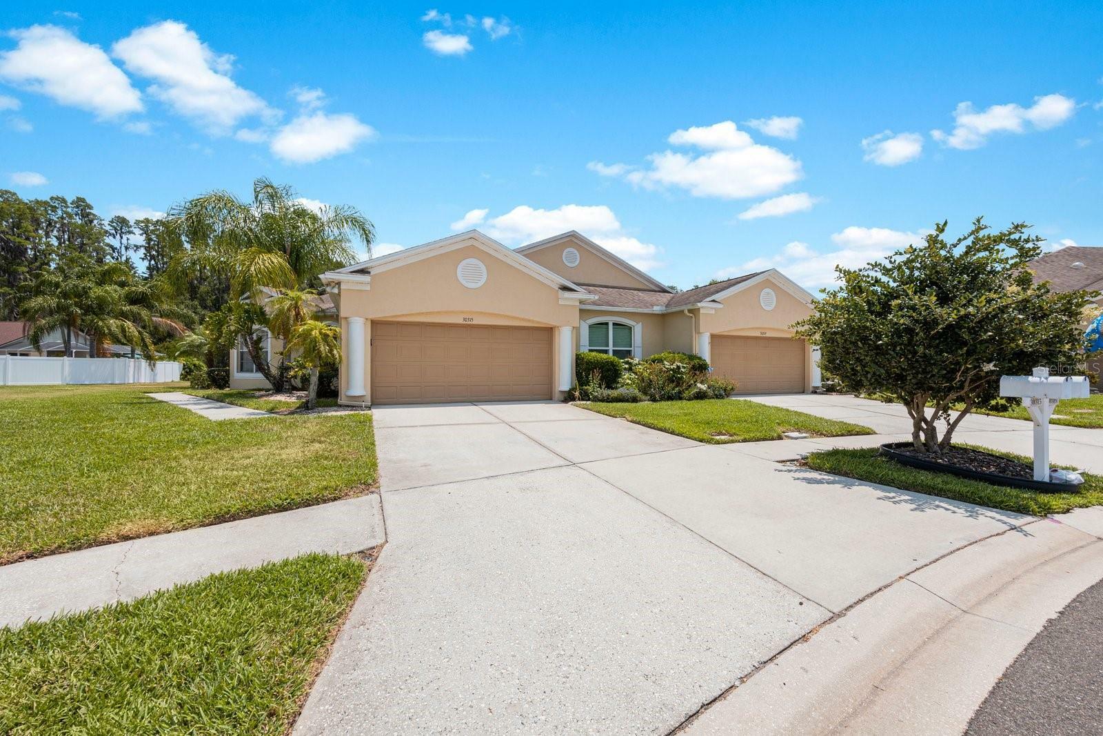 Property Photo:  30315 Lettingwell Circle  FL 33543 