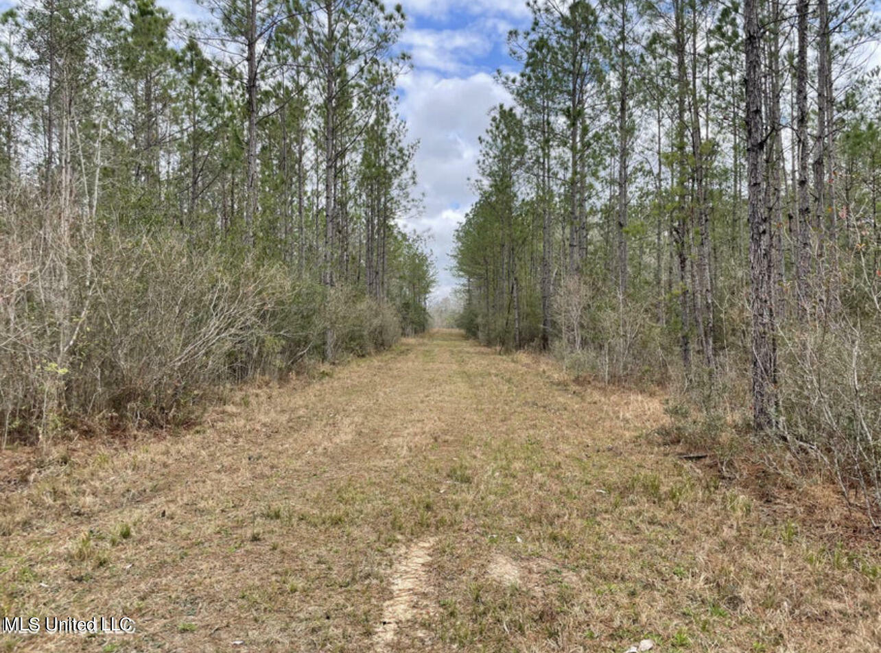 Property Photo:  Ms-43 Parcel 1  MS 39556 