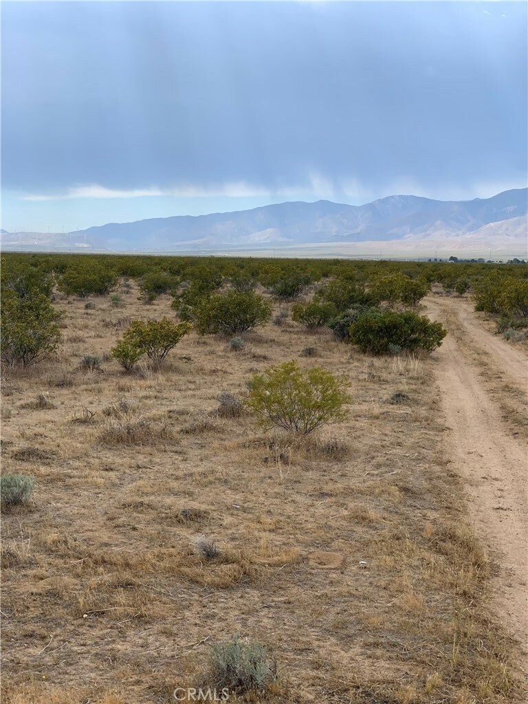 Property Photo: 0 Maverick St CA 93501