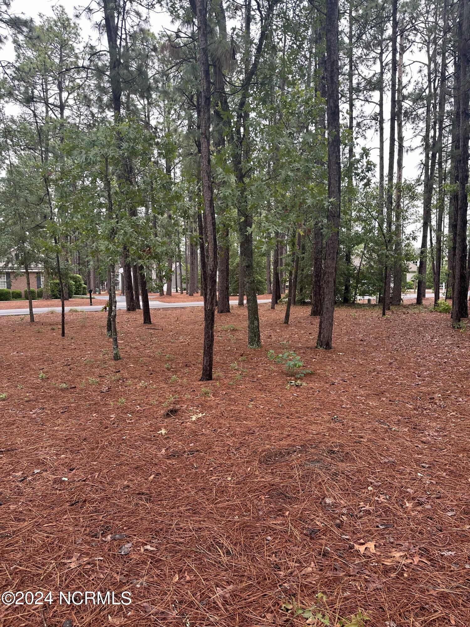 Property Photo:  12 Moore Drive  NC 28374 