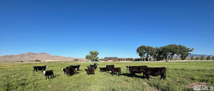 Property Photo:  250 Olson Ranch Rd  NV 89430 